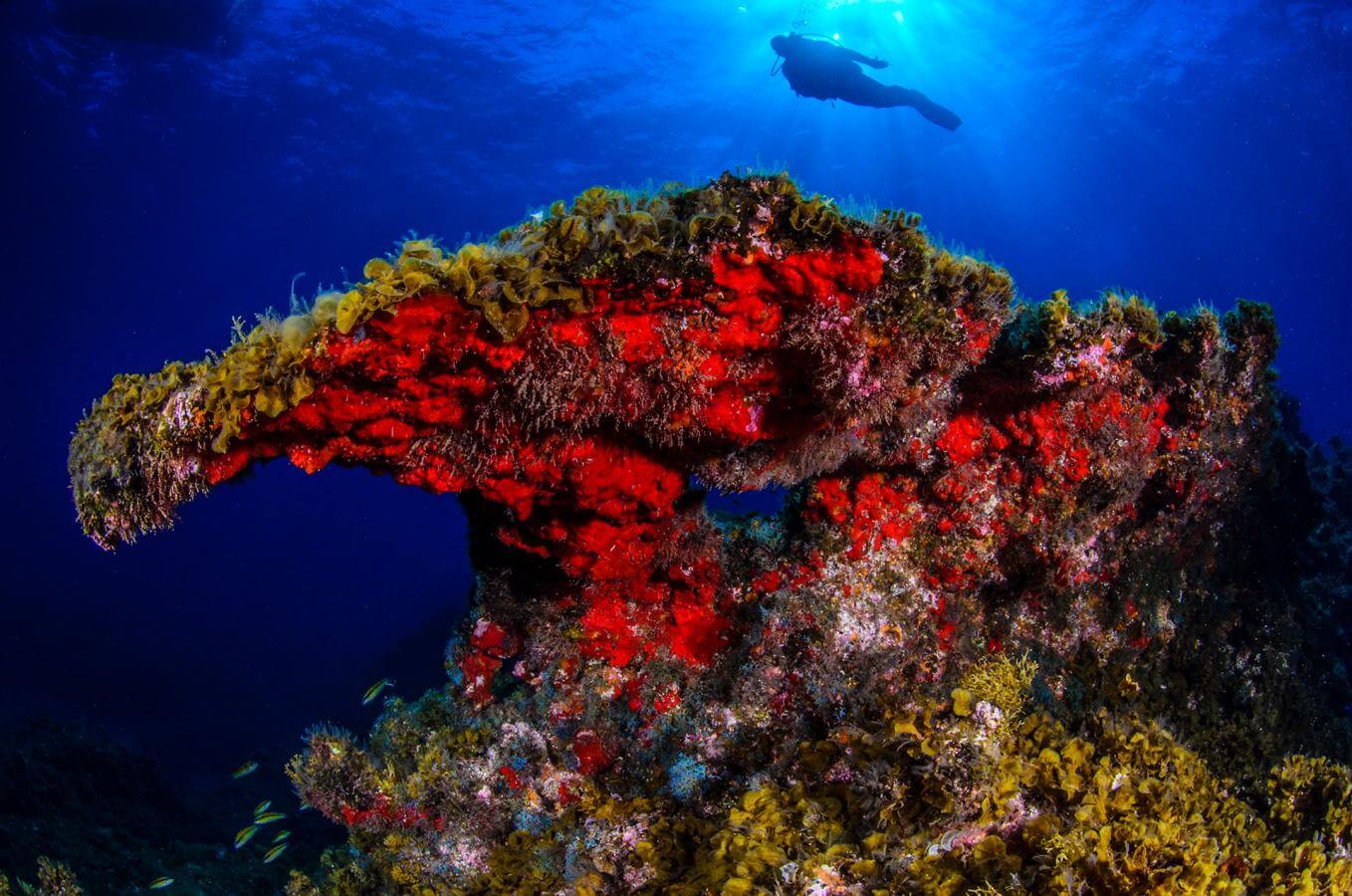 La Restinga, El Hierro. 