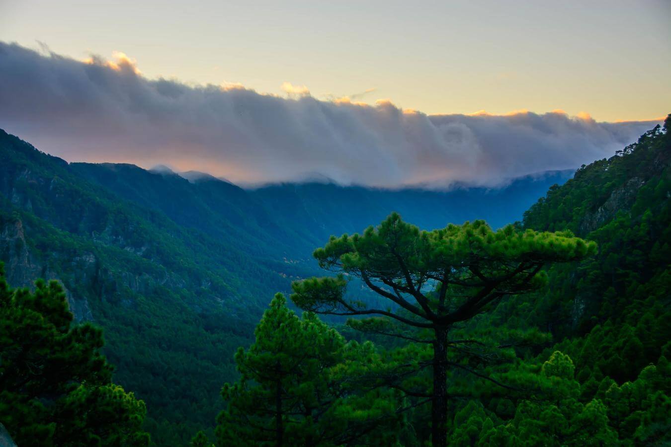 La Palma - Caldera de Taburiente - La Cumbrecita