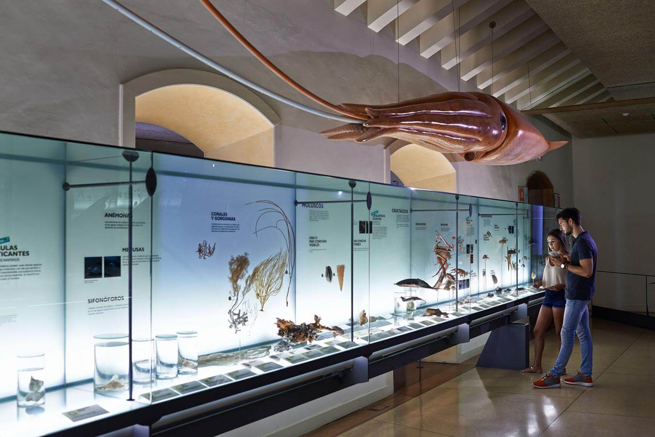 Tenerife Museo Naturaleza y hombre