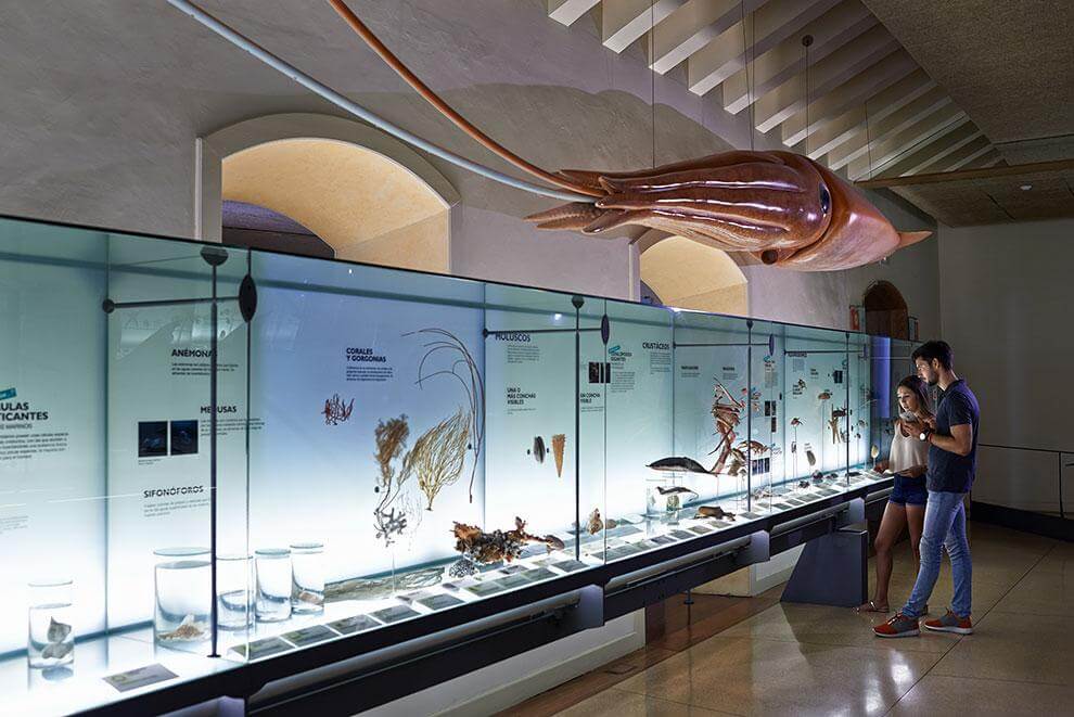 Tenerife Museo Naturaleza y hombre
