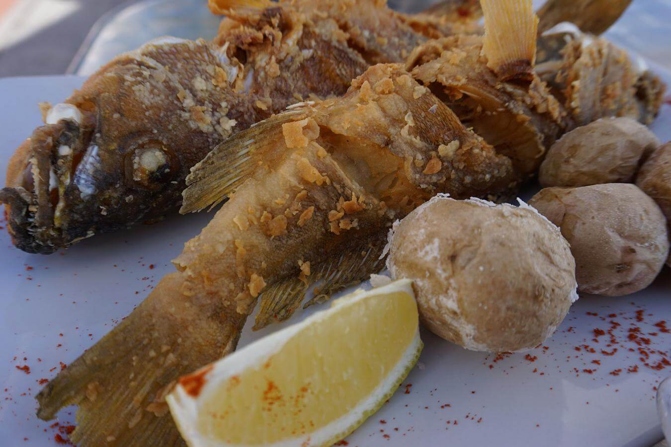 Cabrilla Frita