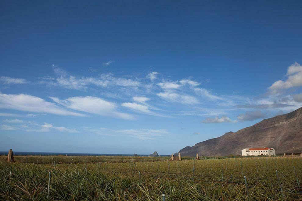 El Hierro. Agricultura