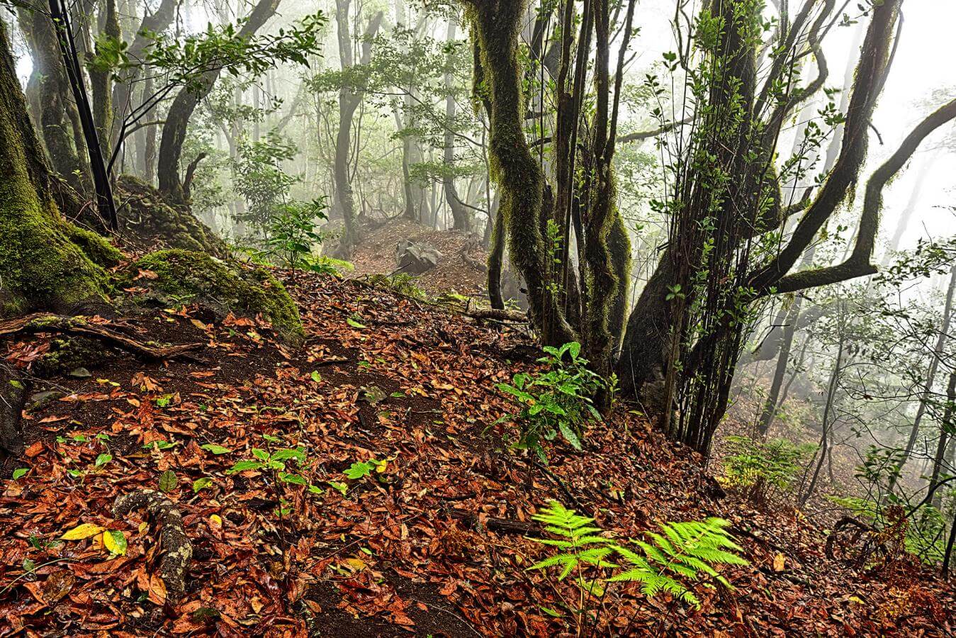 Wellness Gomera