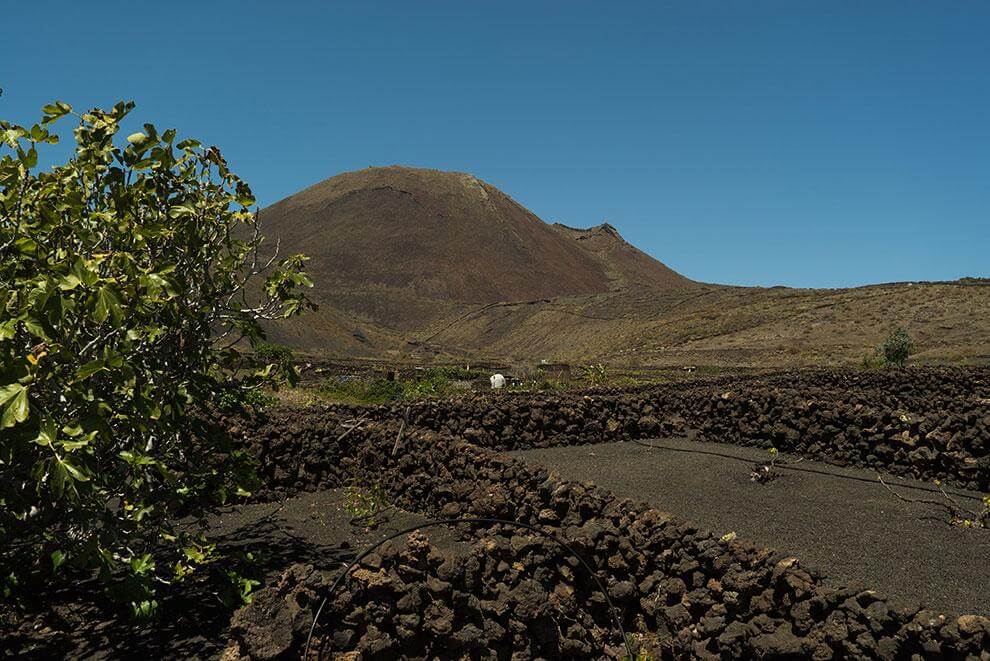 Lanzarote