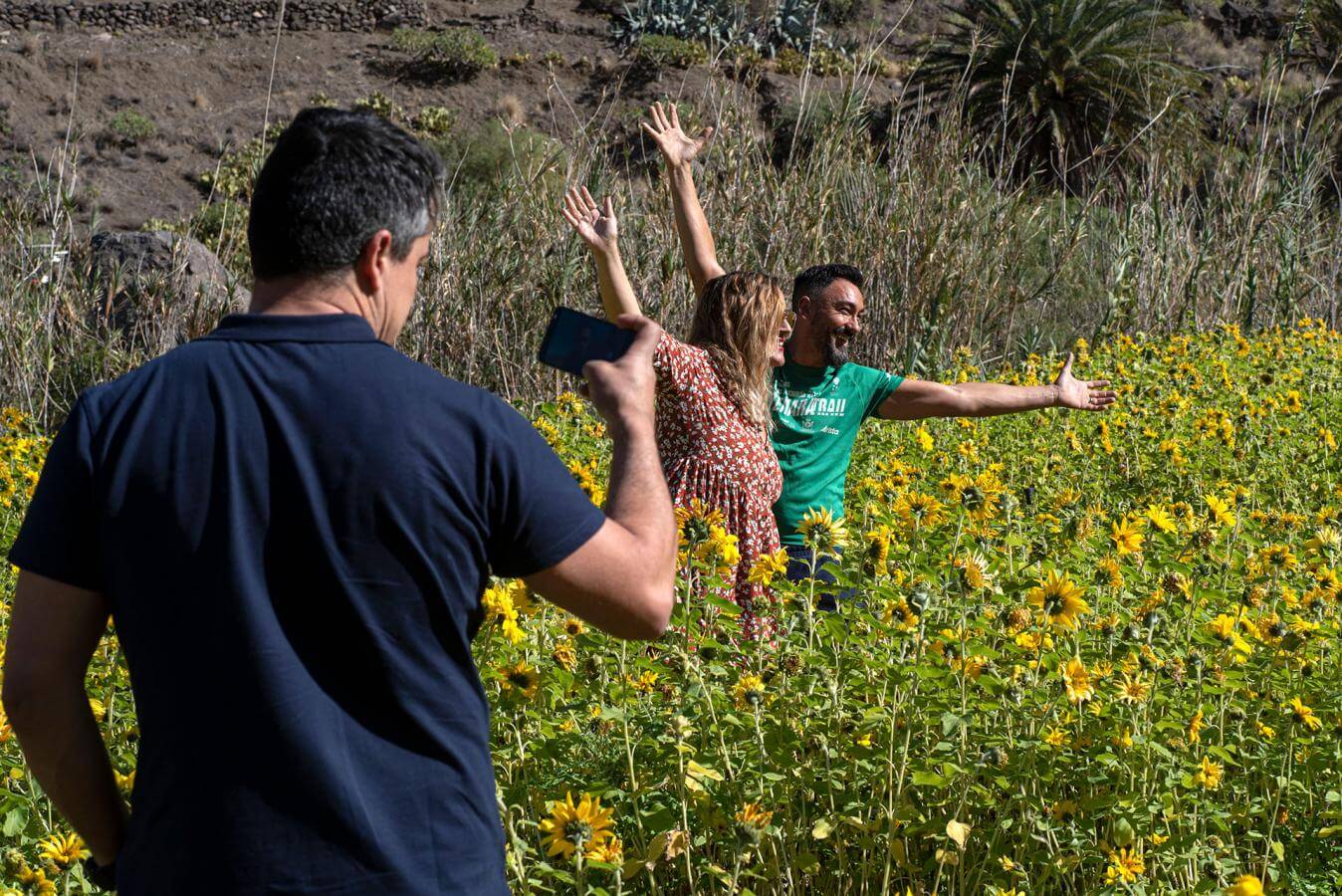 Campo de Girasoles