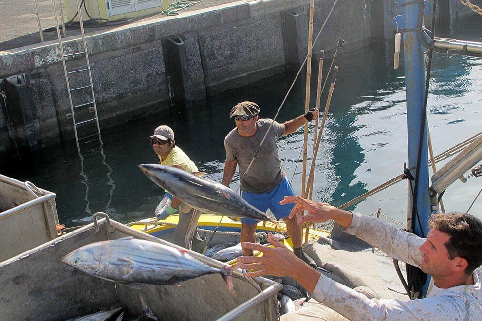 El Hierro. Pesca Artesanal. David Pavon.