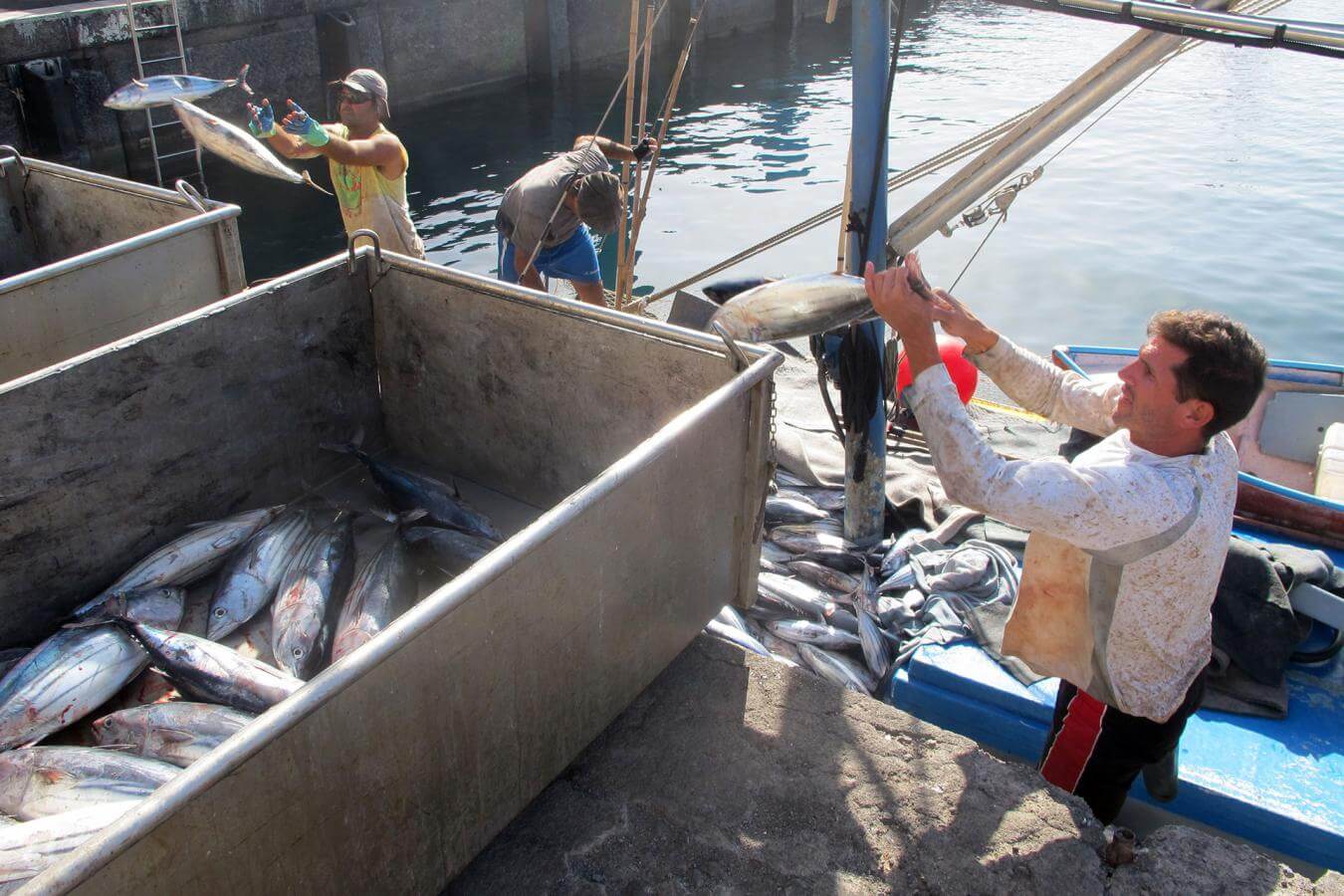 El Hierro. Pesca  Artesanal 