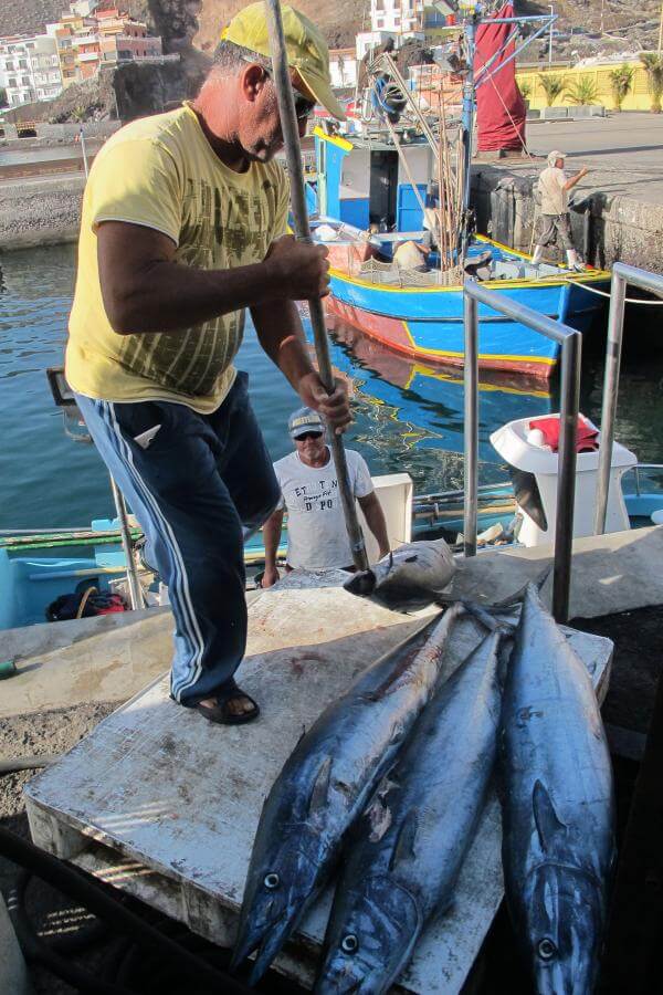 El Hierro. Pesca Artesanal. Peto