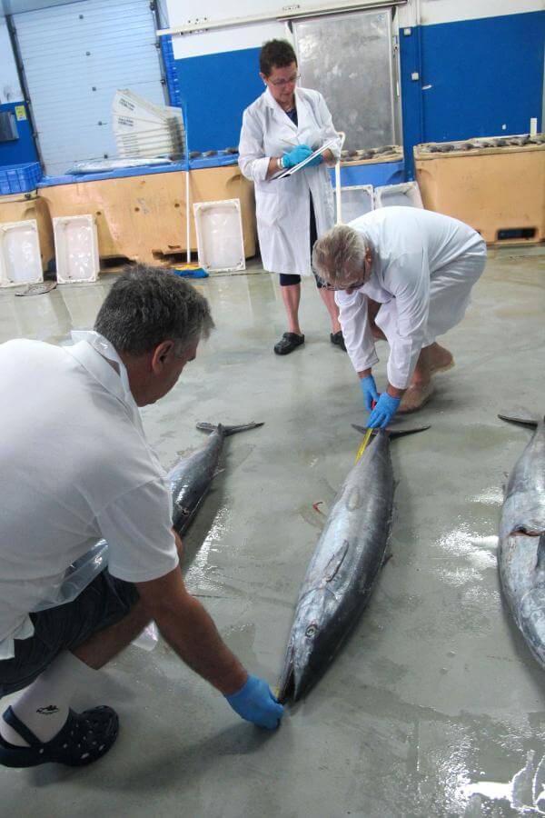 El Hierro. Pesca Artesanal..