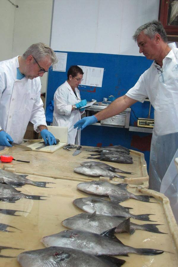 El Hierro. Pesca Artesanal..