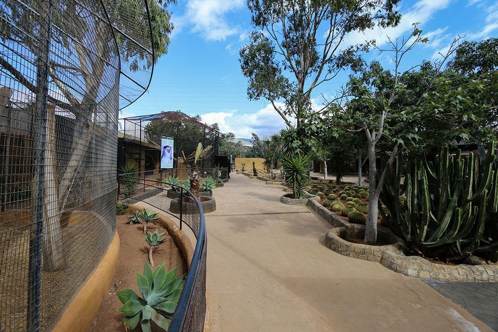 Tenerife. Monkey Park.