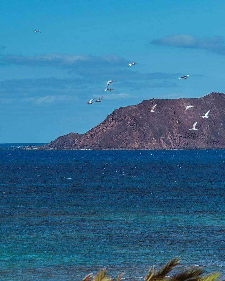 Fuerteventura. Islote de Lobos