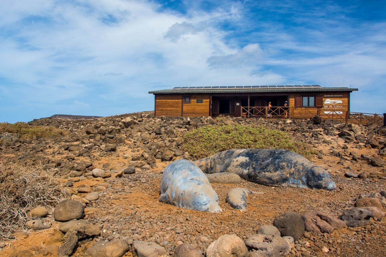 Fuerteventura Islote Lobos