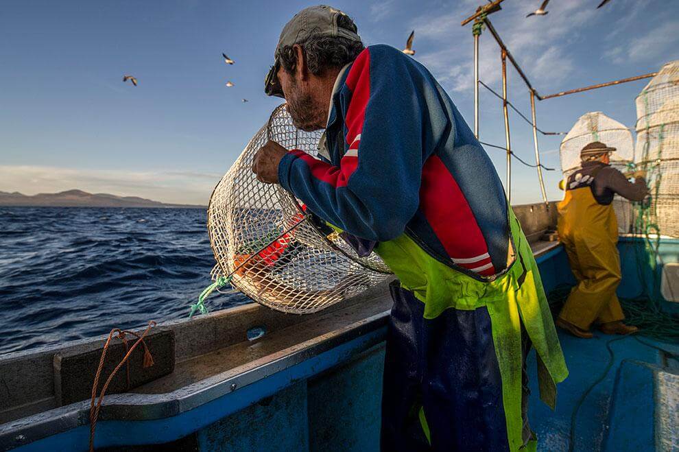 Lanzarote. Pesca del camaron