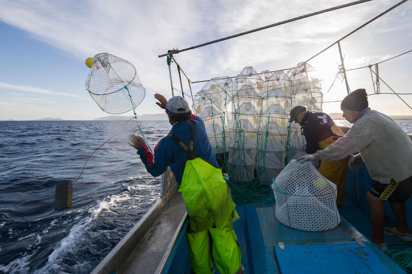 Lanzarote. Pesca del camaron