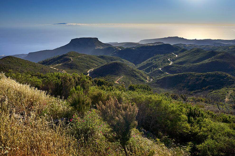 Alto de Garajonay