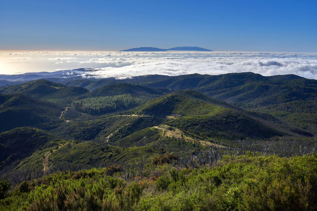 Alto de Garajonay