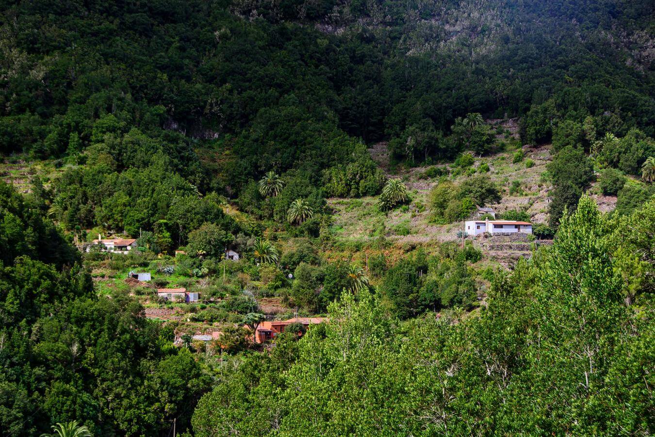 Caserío el Cedro