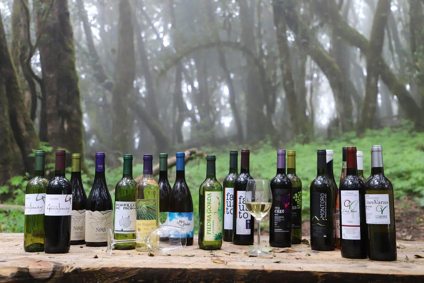 Vinos de La Gomera