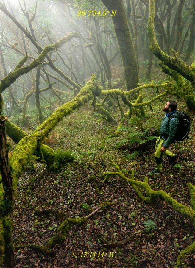 La-Gomera-Garajonay