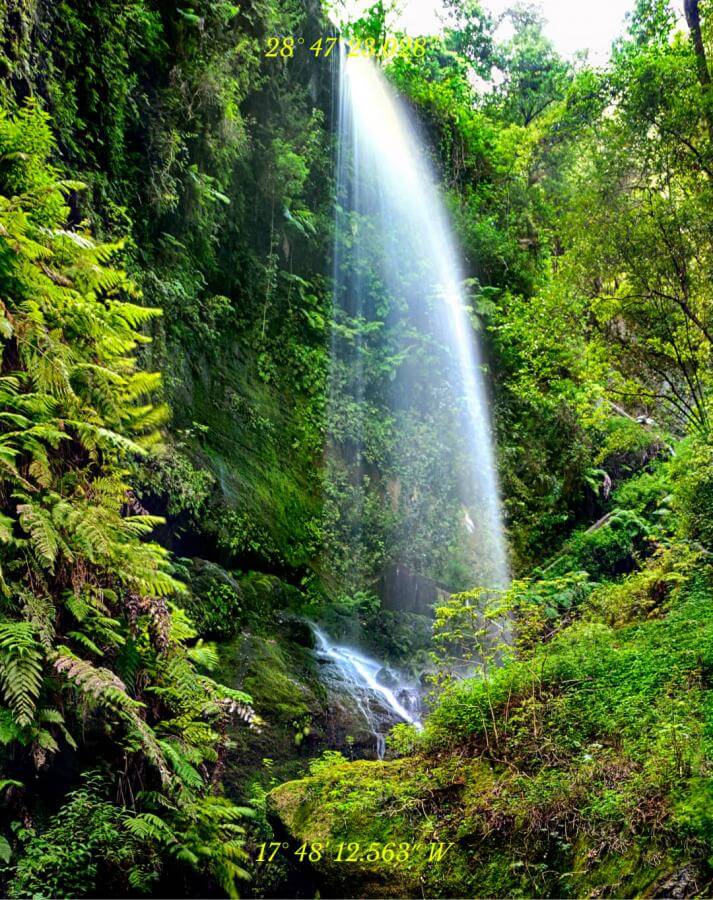 La-Palma-Cascada-de-Los-Tilos