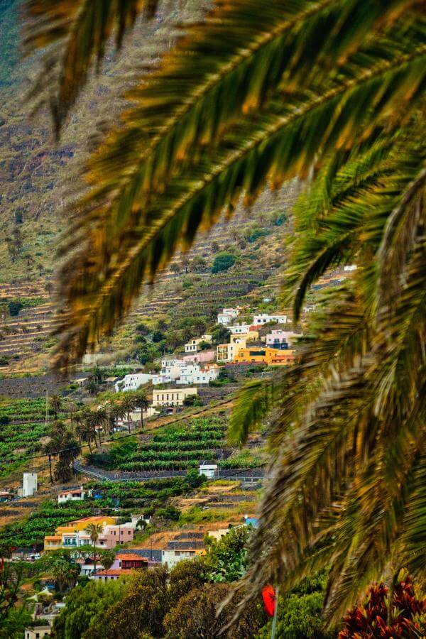 La Gomera. Hermigua