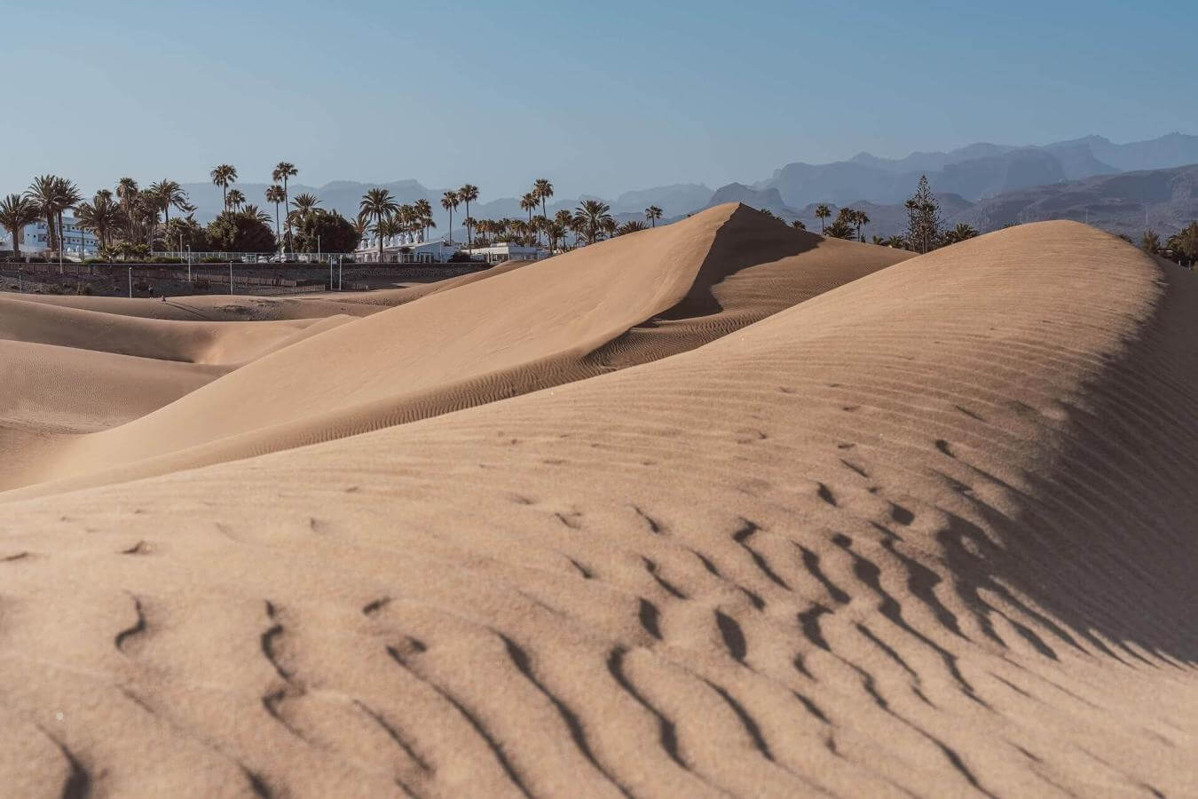 Dunas Maspalomas. Gran Canaria.