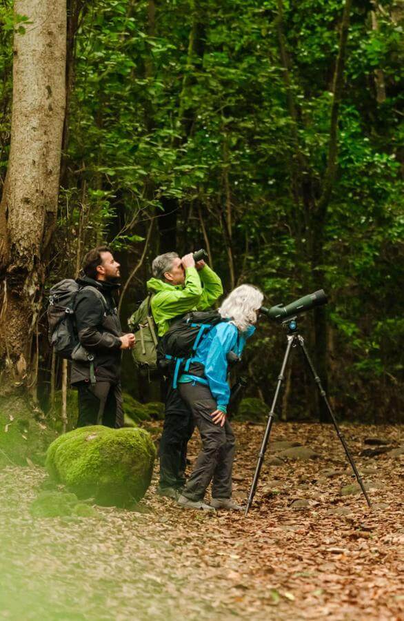 Personas observando aves con telescopio en bosque verde del Parque Rural de Anaga en Tenerife.