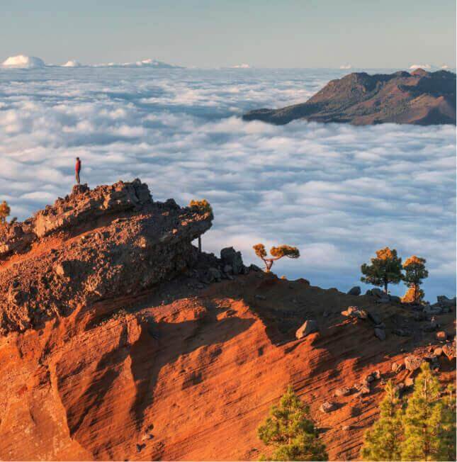 La Punta de los Roques en La Palma, con crestas volcánicas iluminadas, mar de nubes y pinar canario en primer plano.