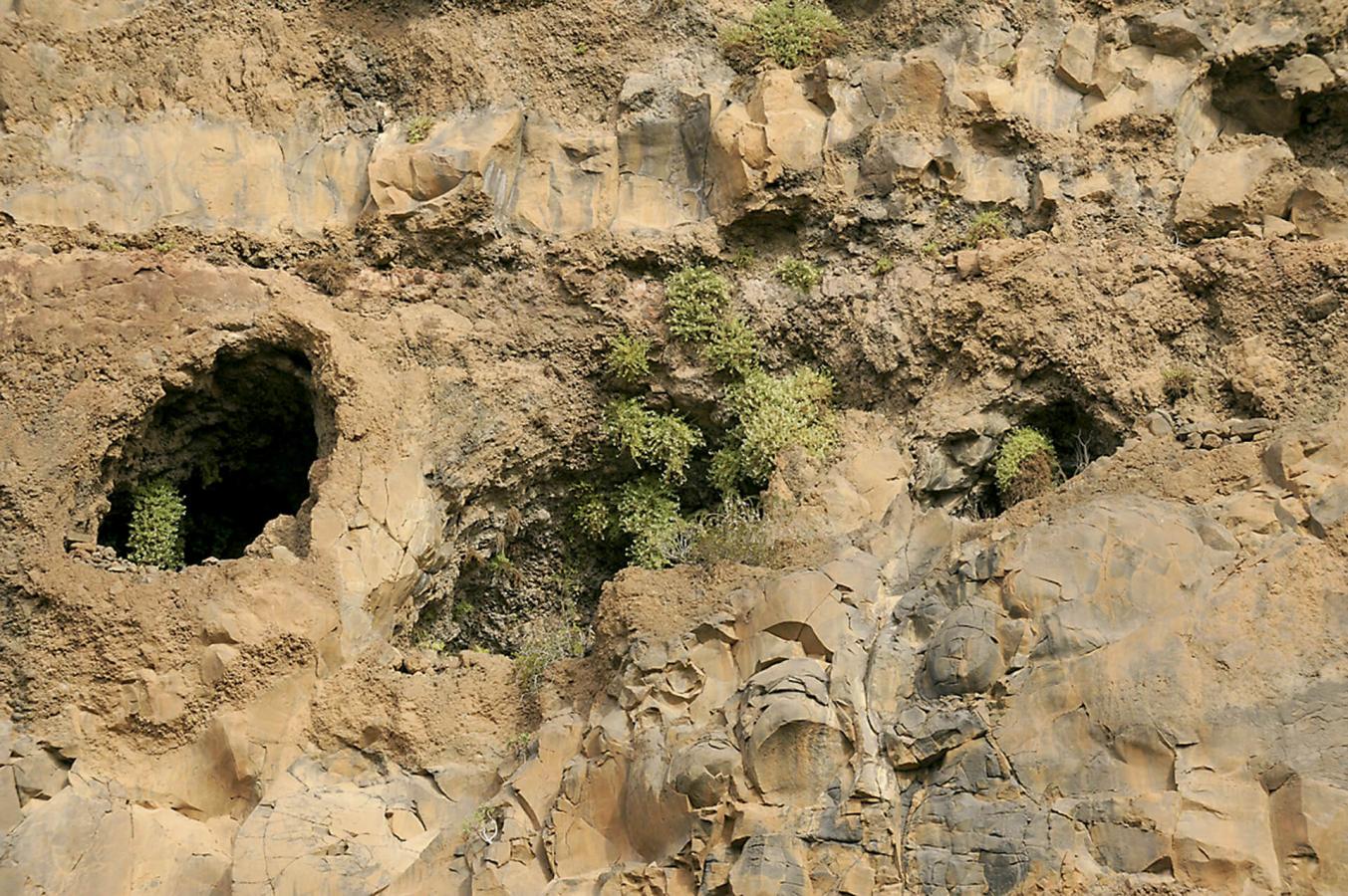 Monumento Natural del Barranco de Guayadeque, en Gran Canaria