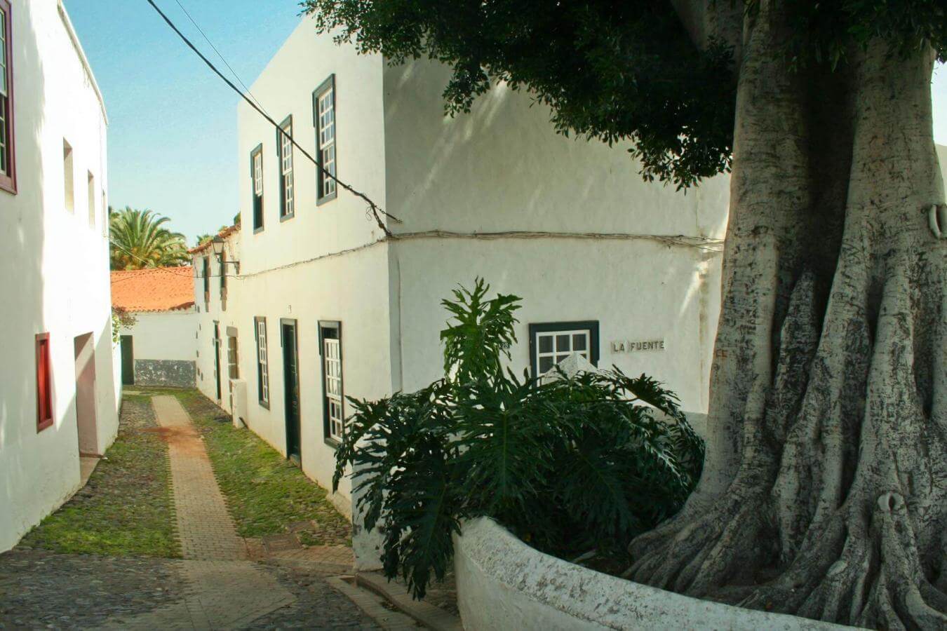 Telde - galeria4