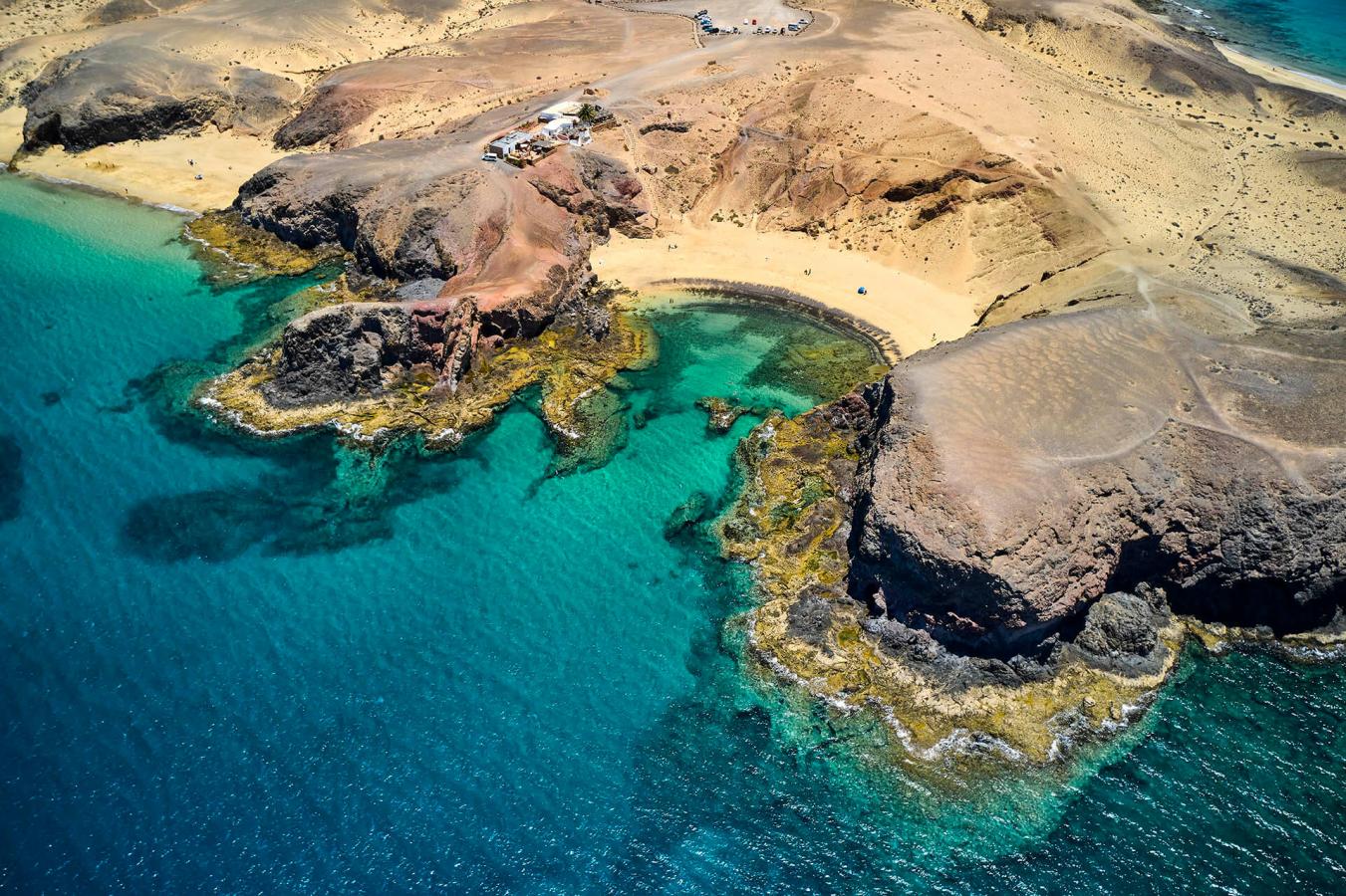 Papagayo | Canarias