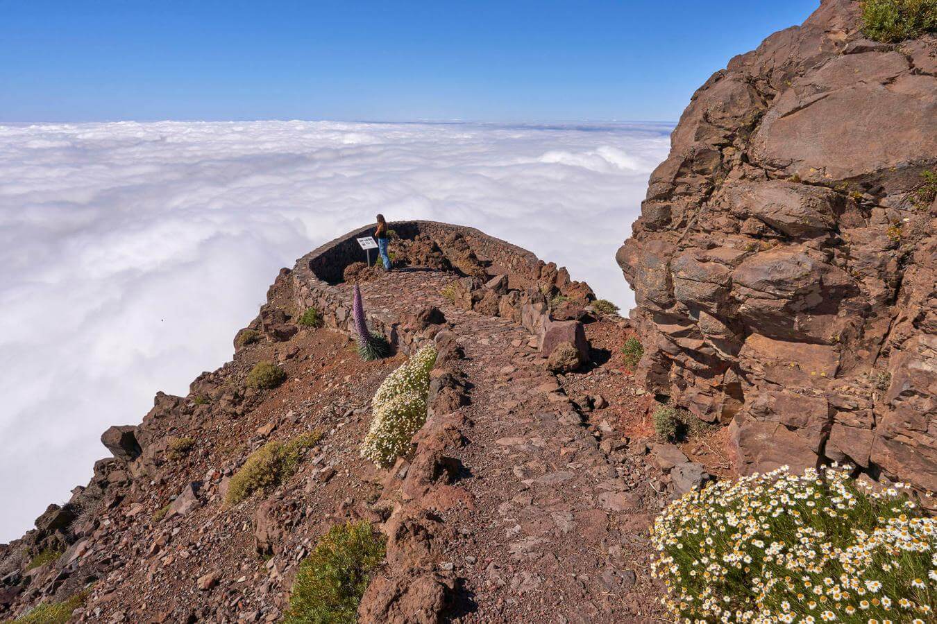 Excursión en coche al Roque de Los Muchachos en La Palma - galeria5