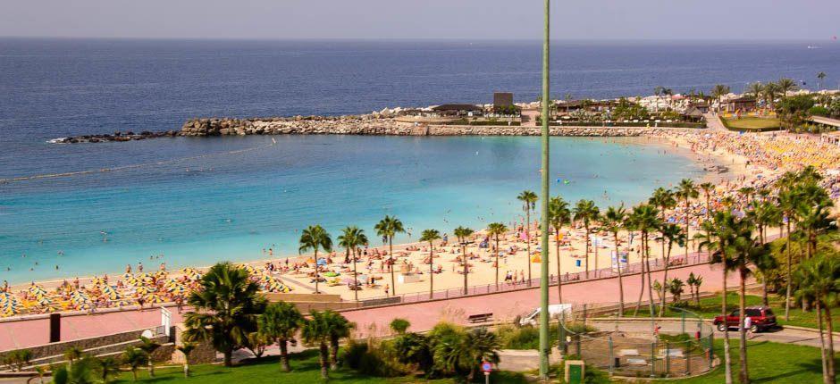 Playa de Amadores Playas populares de Gran Canaria