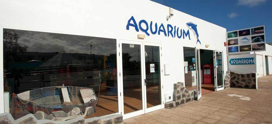Aquarium Acuarios de Lanzarote