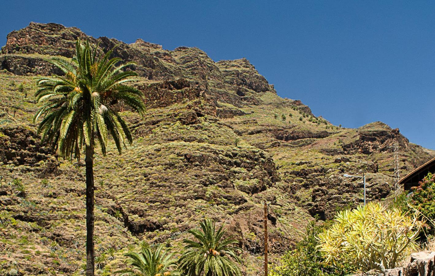 Benchijigua-Playa Santiago. Senderos de La Gomera