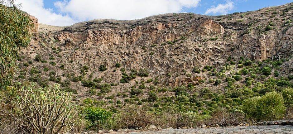 Caldera de Bandama. Senderos de Gran Canaria