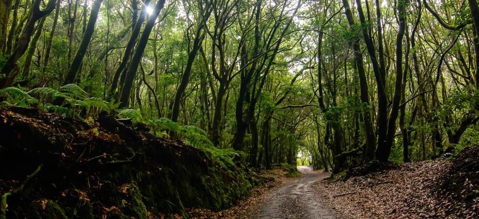 El Cedro caseríos de La Gomera