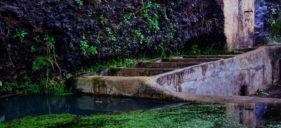 La Tosca caseríos de La Palma