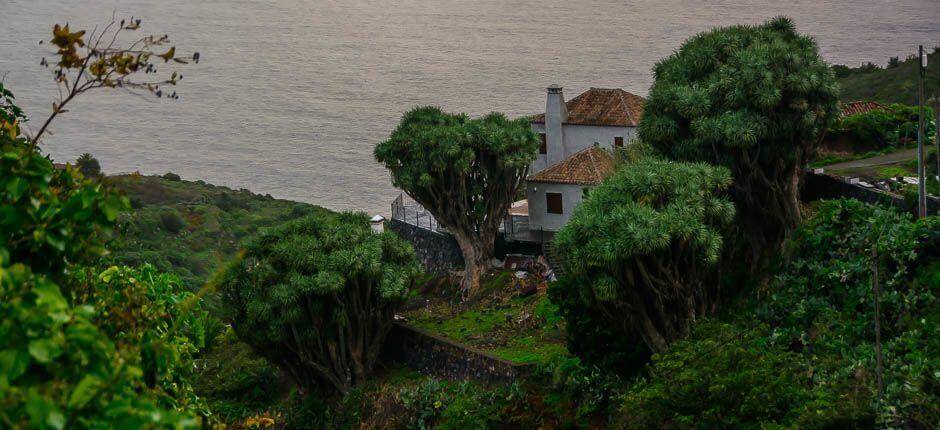 La Tosca caseríos de La Palma
