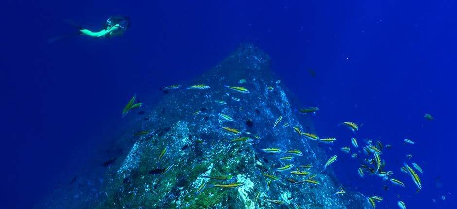 Bucear en El Bajón de El Hierro