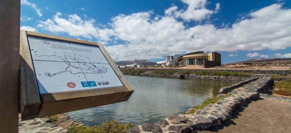 Museo de la Sal Museos de Fuerteventura