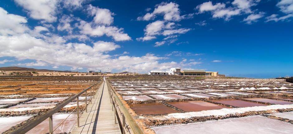 Museo de la Sal Museos de Fuerteventura