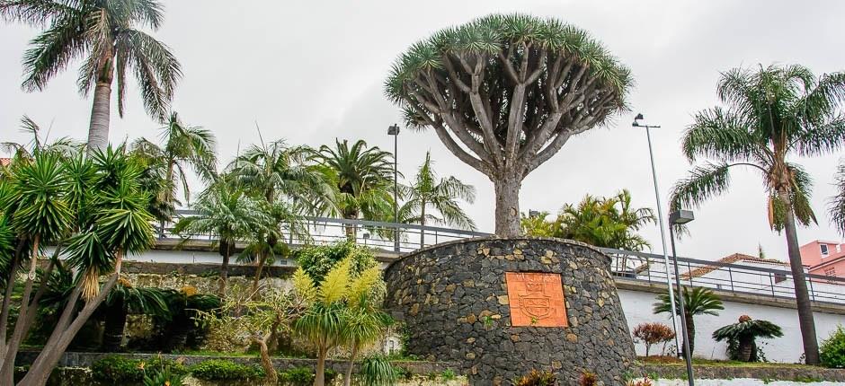 El Sauzal – Tenerife – Pueblos con encanto