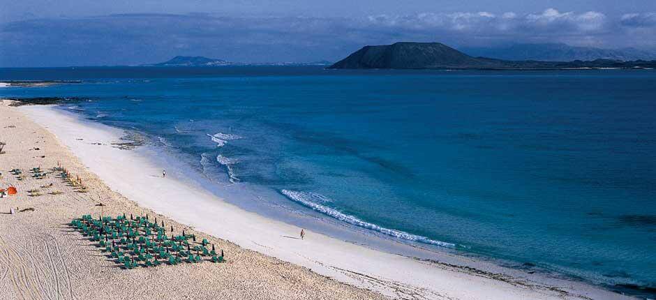 Grandes Playas de Corralejo Playas populares de Fuerteventura