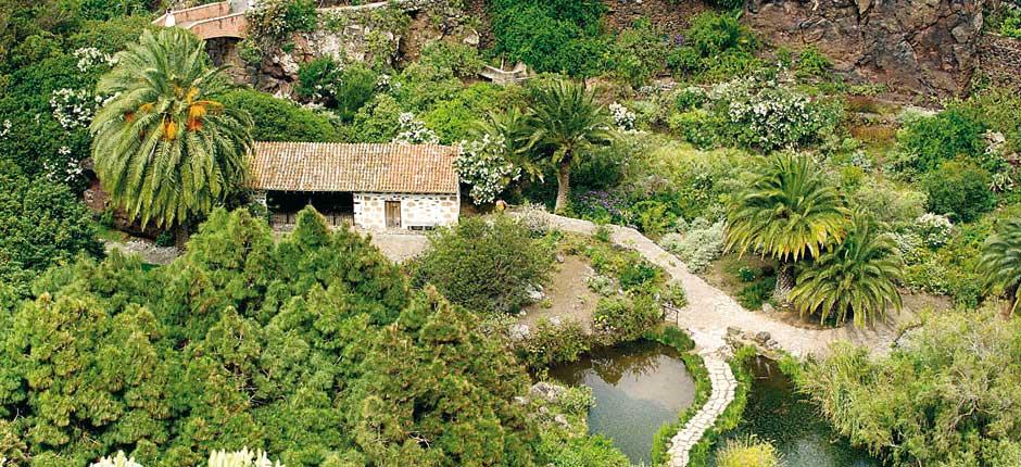 Jardín Botánico Viera y Clavijo Museos y centros turísticos de Gran Canaria