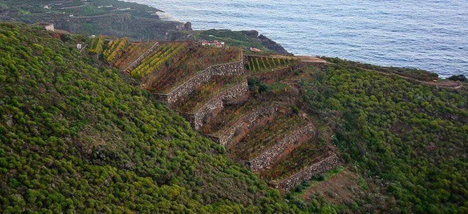 La Galga caseríos de La Palma