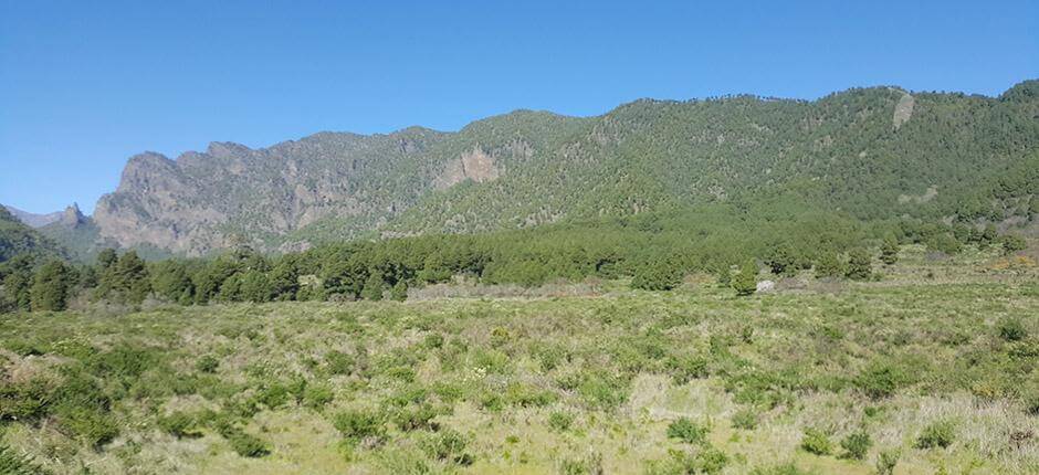 El Riachuelo. Orientación de La Palma