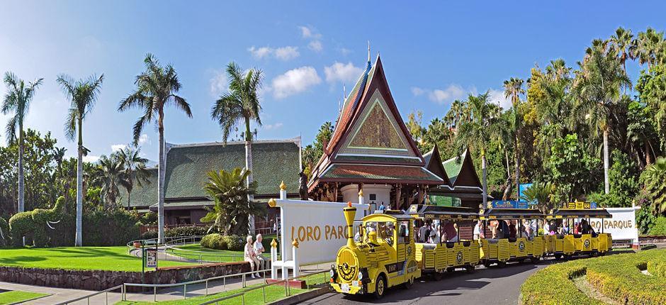 Loro Parque Zoológicos de Tenerife