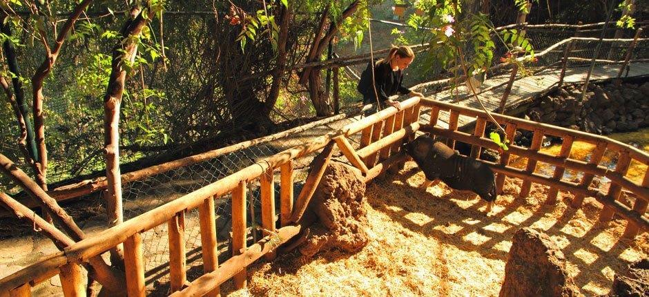 Maroparque Zoológicos de La Palma